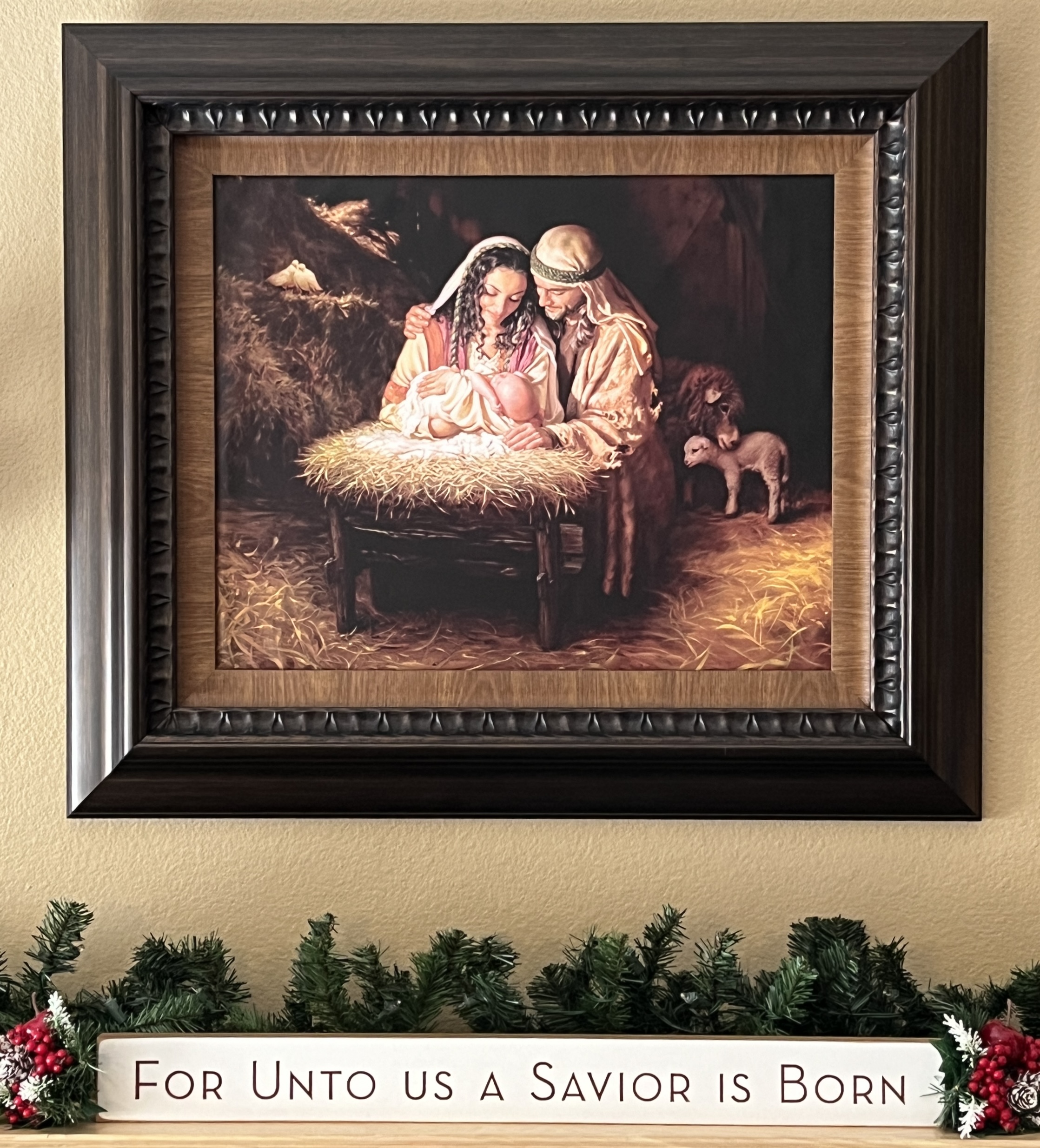 The Reasons for Jesus’ Incarnation